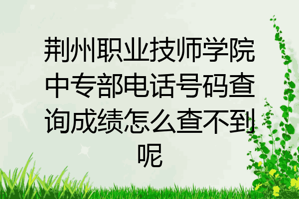 荆州职业技师学院中专部电话号码查询成绩怎么查不到呢