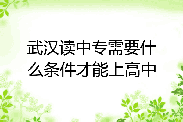武汉读中专需要什么条件才能上高中