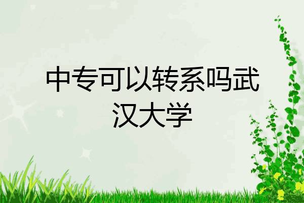 中专可以转系吗武汉大学