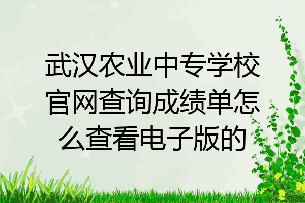 武汉农业中专学校官网查询成绩单怎么查看电子版的