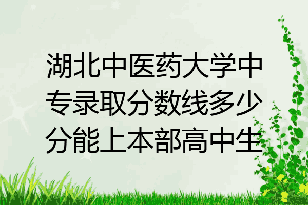 湖北中医药大学中专录取分数线多少分能上本部高中生