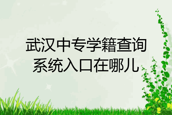 武汉中专学籍查询系统入口在哪儿