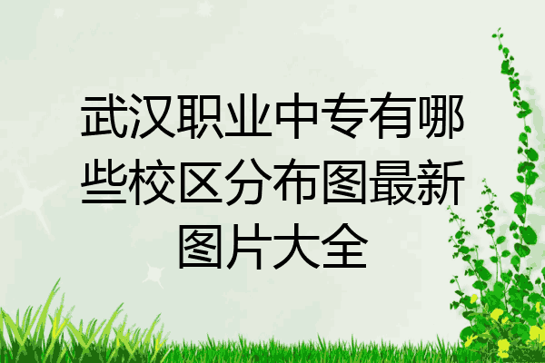 武汉职业中专有哪些校区分布图最新图片大全