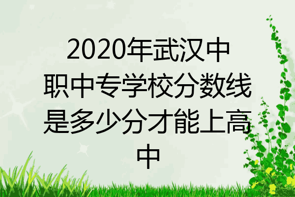 2020年武汉中职中专学校分数线是多少分才能上高中