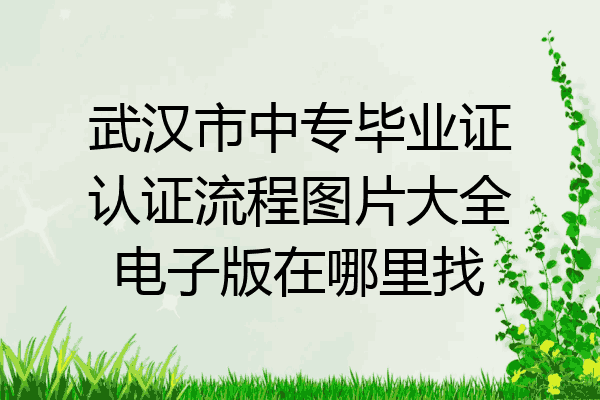 武汉市中专毕业证认证流程图片大全电子版在哪里找