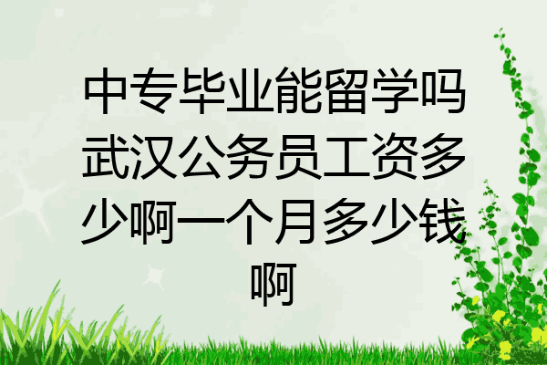 中专毕业能留学吗武汉公务员工资多少啊一个月多少钱啊