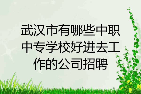 武汉市有哪些中职中专学校好进去工作的公司招聘