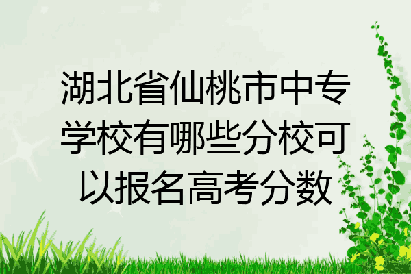 湖北省仙桃市中专学校有哪些分校可以报名高考分数