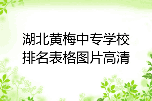 湖北黄梅中专学校排名表格图片高清