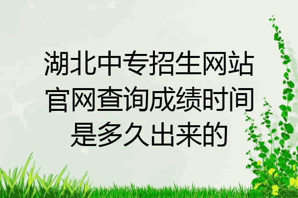 湖北中专招生网站官网查询成绩时间是多久出来的