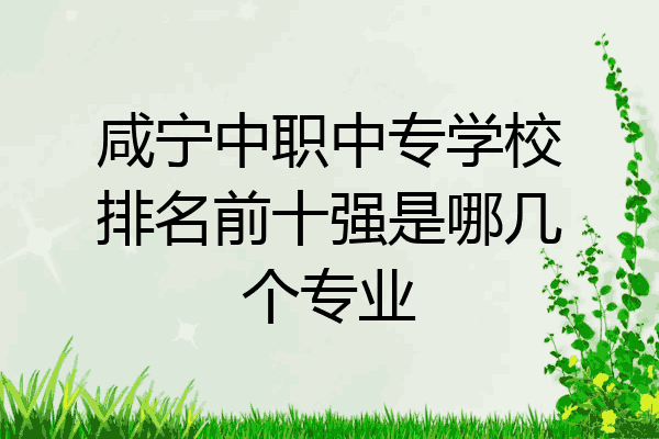 咸宁中职中专学校排名前十强是哪几个专业