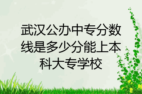武汉公办中专分数线是多少分能上本科大专学校