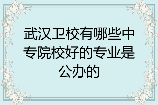 武汉卫校有哪些中专院校好的专业是公办的