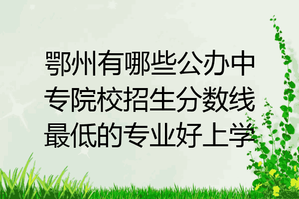 鄂州有哪些公办中专院校招生分数线最低的专业好上学