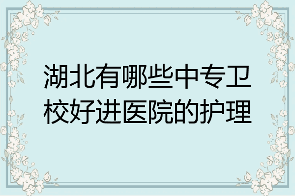 湖北有哪些中专卫校好进医院的护理
