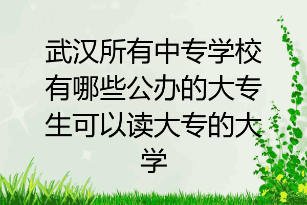 武汉所有中专学校有哪些公办的大专生可以读大专的大学