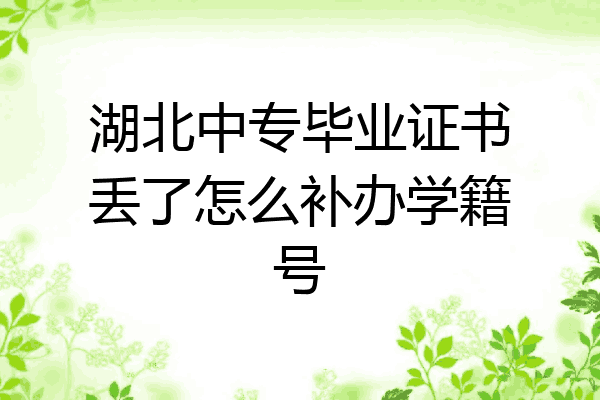 湖北中专毕业证书丢了怎么补办学籍号