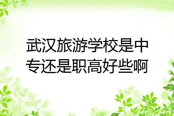 武汉旅游学校是中专还是职高好些啊