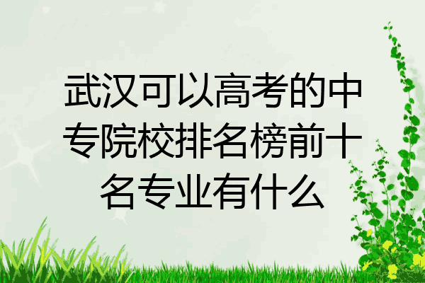 武汉可以高考的中专院校排名榜前十名专业有什么