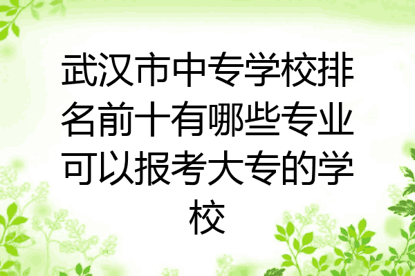 武汉市中专学校排名前十有哪些专业可以报考大专的学校