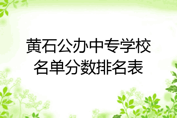 黄石公办中专学校名单分数排名表