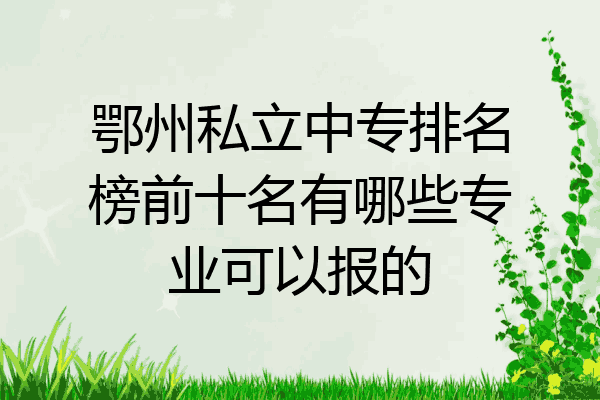 鄂州私立中专排名榜前十名有哪些专业可以报的