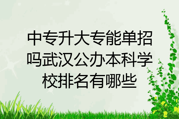 中专升大专能单招吗武汉公办本科学校排名有哪些