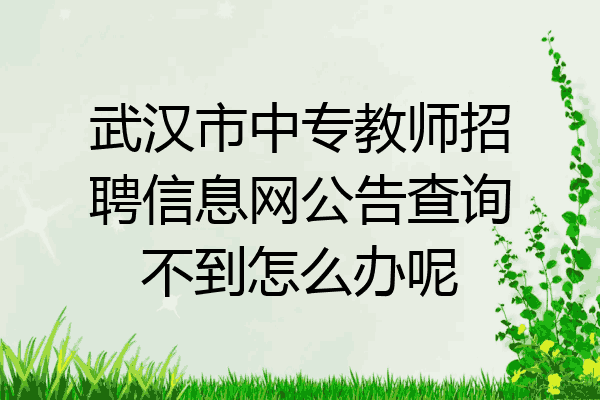 武汉市中专教师招聘信息网公告查询不到怎么办呢
