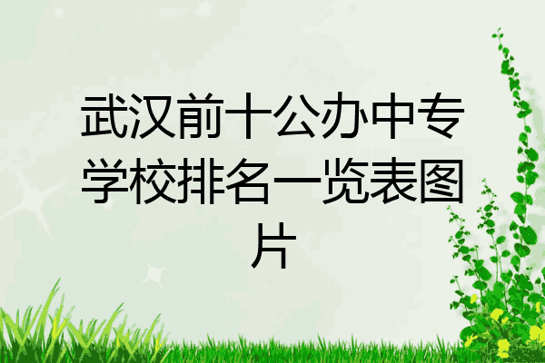 武汉前十公办中专学校排名一览表图片
