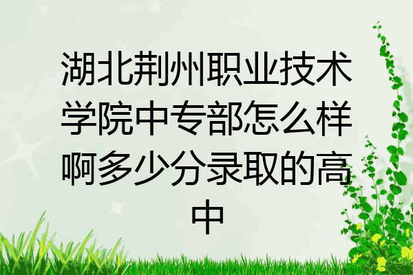 湖北荆州职业技术学院中专部怎么样啊多少分录取的高中