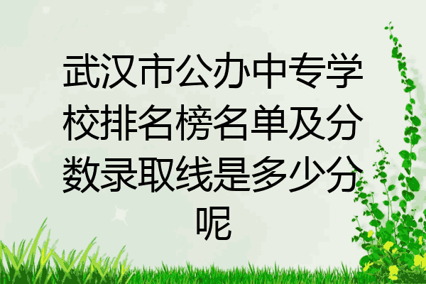 武汉市公办中专学校排名榜名单及分数录取线是多少分呢