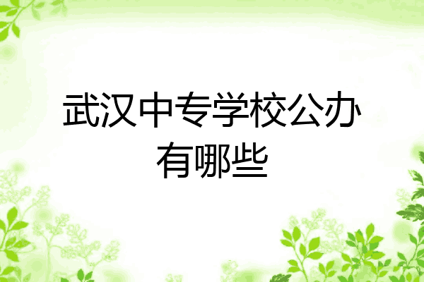 武汉中专学校公办有哪些