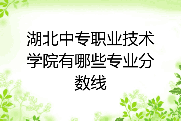 湖北中专职业技术学院有哪些专业分数线