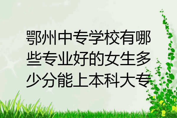 鄂州中专学校有哪些专业好的女生多少分能上本科大专