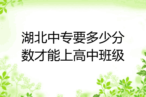 湖北中专要多少分数才能上高中班级