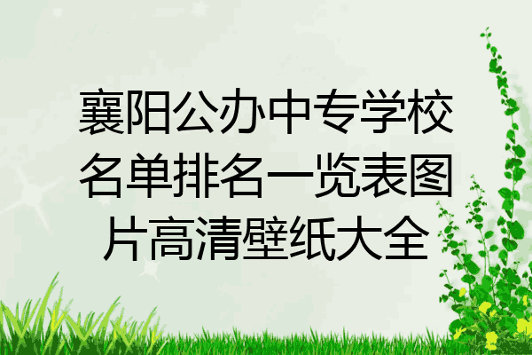 襄阳公办中专学校名单排名一览表图片高清壁纸大全