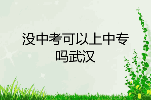 没中考可以上中专吗武汉
