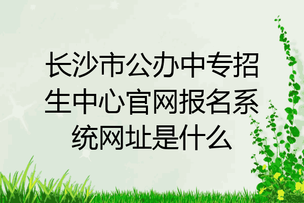 长沙市公办中专招生中心官网报名系统网址是什么