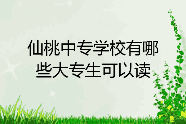 仙桃中专学校有哪些大专生可以读