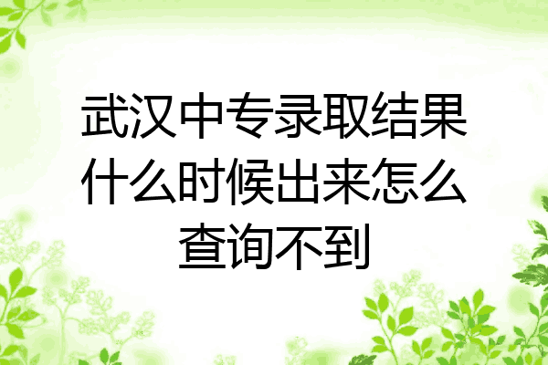 武汉中专录取结果什么时候出来怎么查询不到