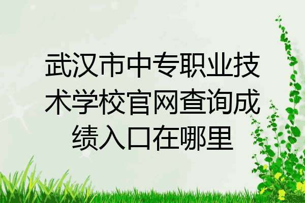 武汉市中专职业技术学校官网查询成绩入口在哪里