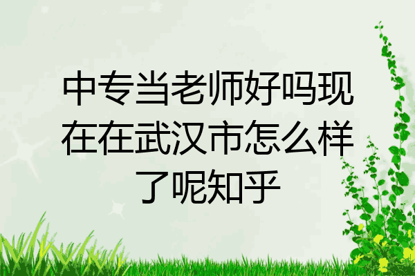 中专当老师好吗现在在武汉市怎么样了呢知乎