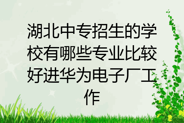 湖北中专招生的学校有哪些专业比较好进华为电子厂工作
