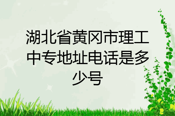 湖北省黄冈市理工中专地址电话是多少号