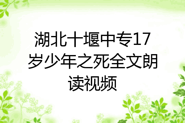 湖北十堰中专17岁少年之死全文朗读视频