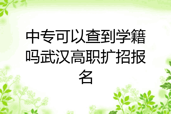 中专可以查到学籍吗武汉高职扩招报名