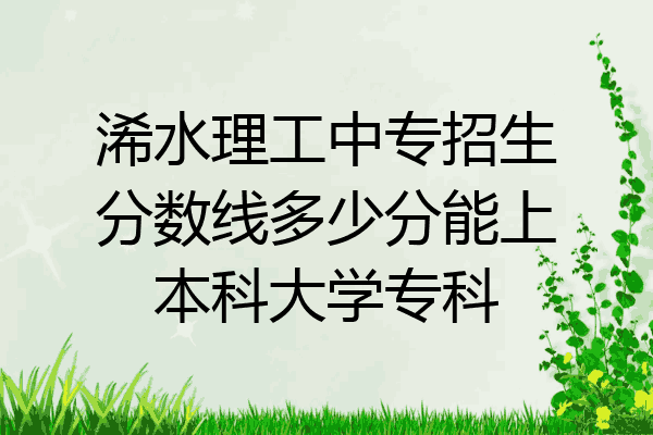 浠水理工中专招生分数线多少分能上本科大学专科