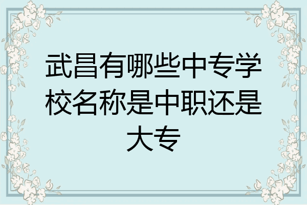 武昌有哪些中专学校名称是中职还是大专