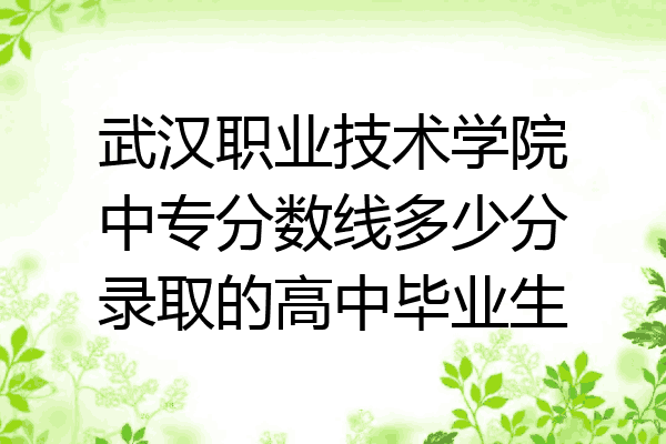 武汉职业技术学院中专分数线多少分录取的高中毕业生