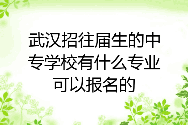 武汉招往届生的中专学校有什么专业可以报名的